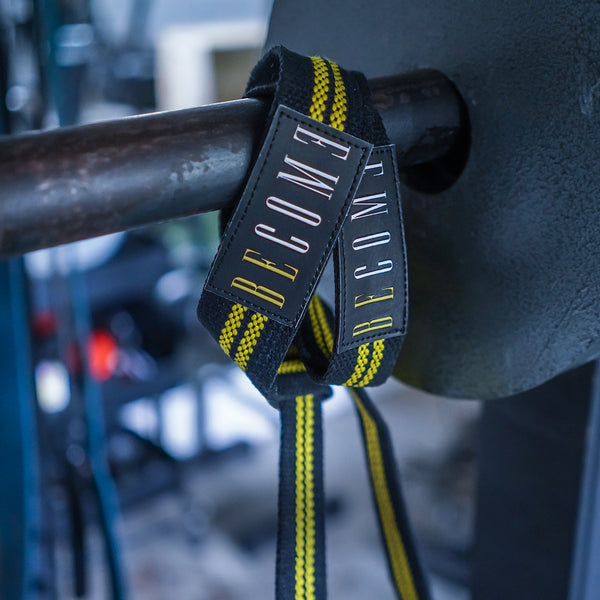Become Lifting Straps